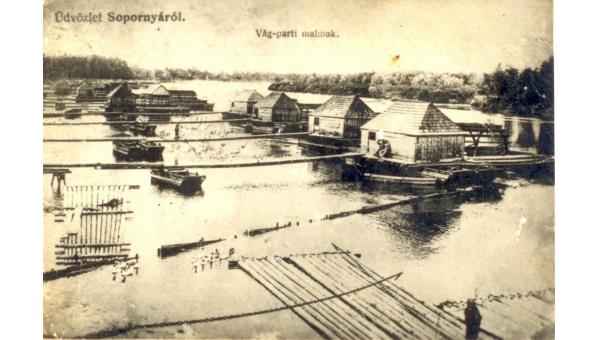 Rege a török világ bikájáról