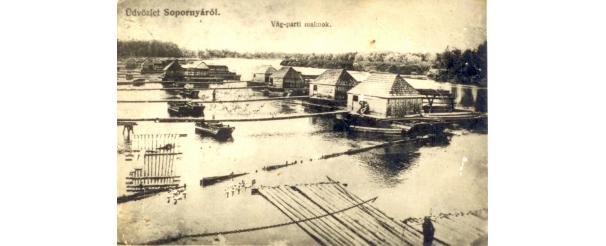 Rege a török világ bikájáról