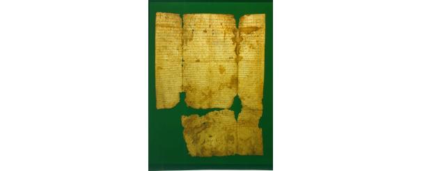 A 900 éves dokumentum
