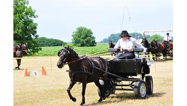 Fogathajtóverseny Zsigárdon