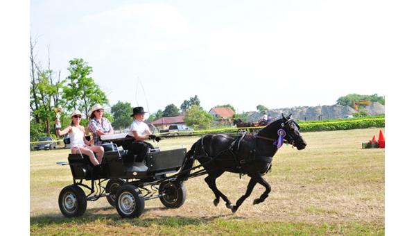 Fogathajtóverseny Zsigárdon