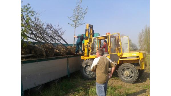 Nemeskajali zárszámadás