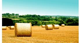 Új szabályok a mezőgazdasági földek tulajdonjogának átruházásánál